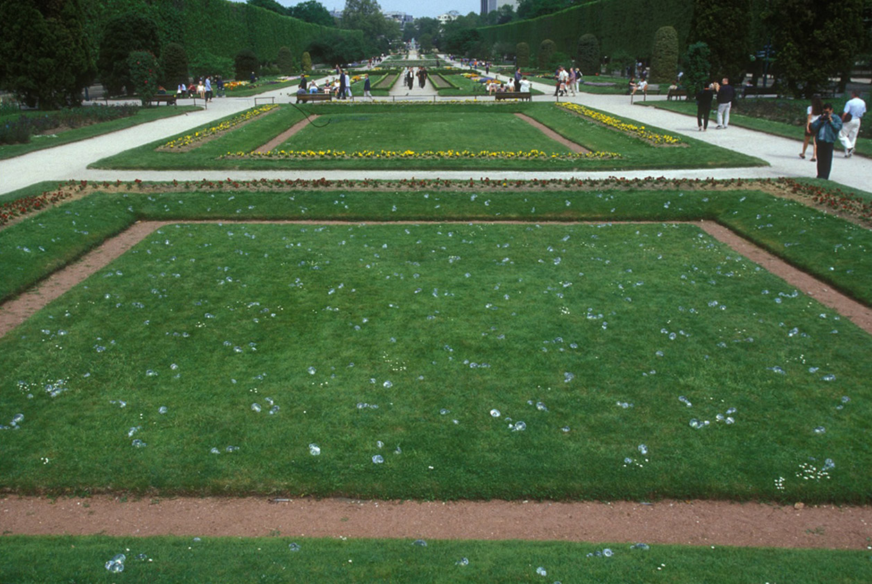 Rosée2