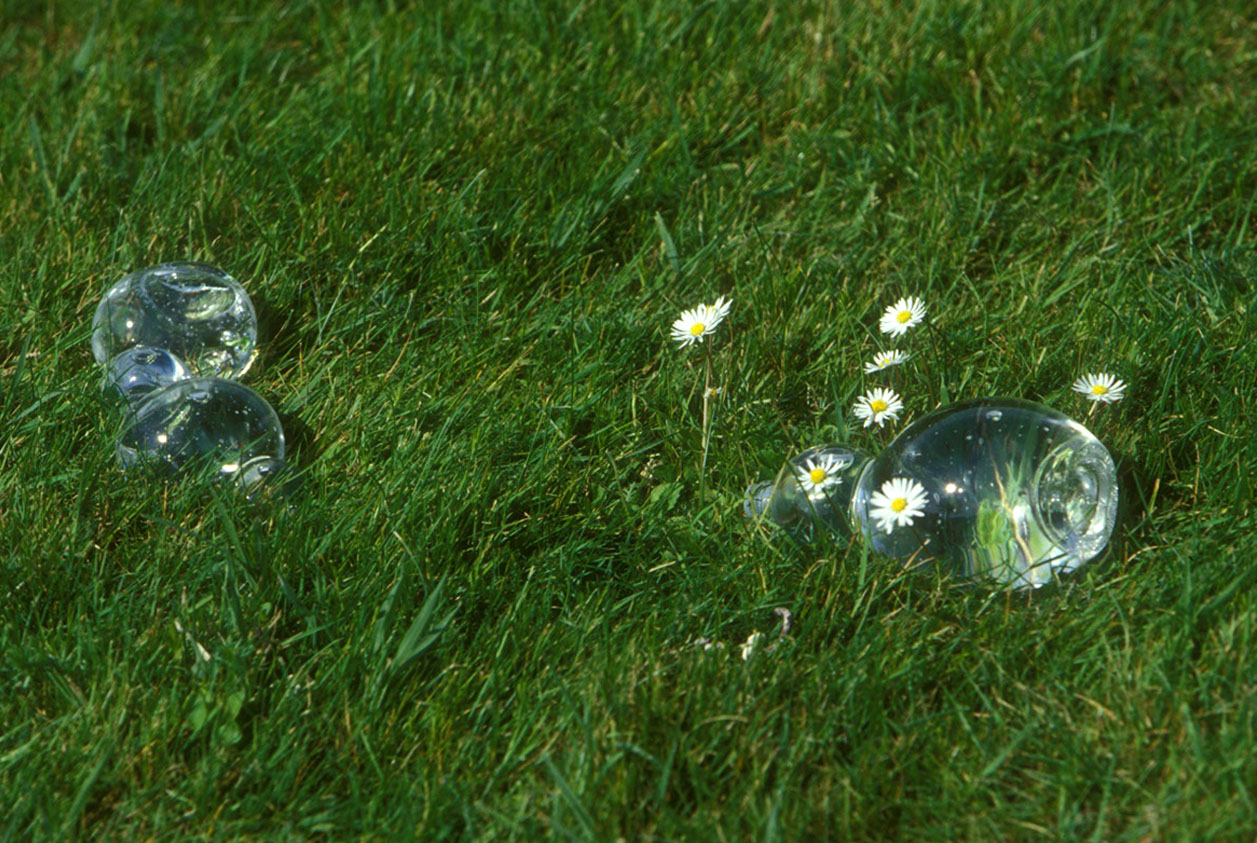 Rosée4